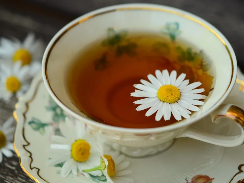 Public Domain
A cup of tea daily can do wonders for one’s mental acuity later in life.