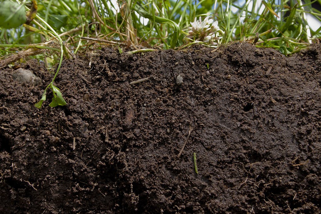U.S. DEPARTMENT OF AGRICULTURE / PDM 1.0
Several recently published studies state that soil texture plays an essential role in ecosystems.&nbsp;