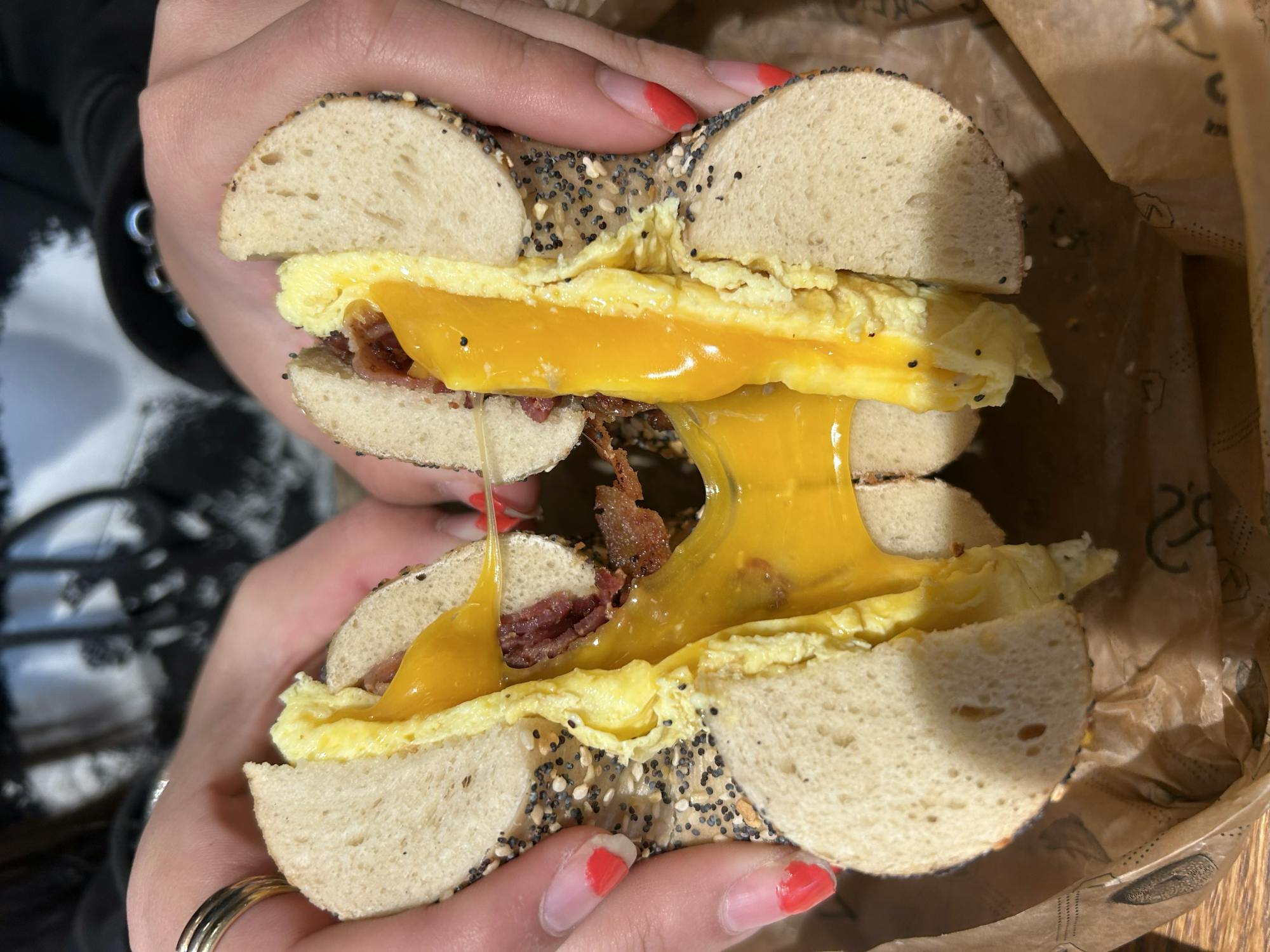 COURTESY OF HAILEY FINKELSTEIN
Finkelstein reflects on going back to her hometown for the holidays.