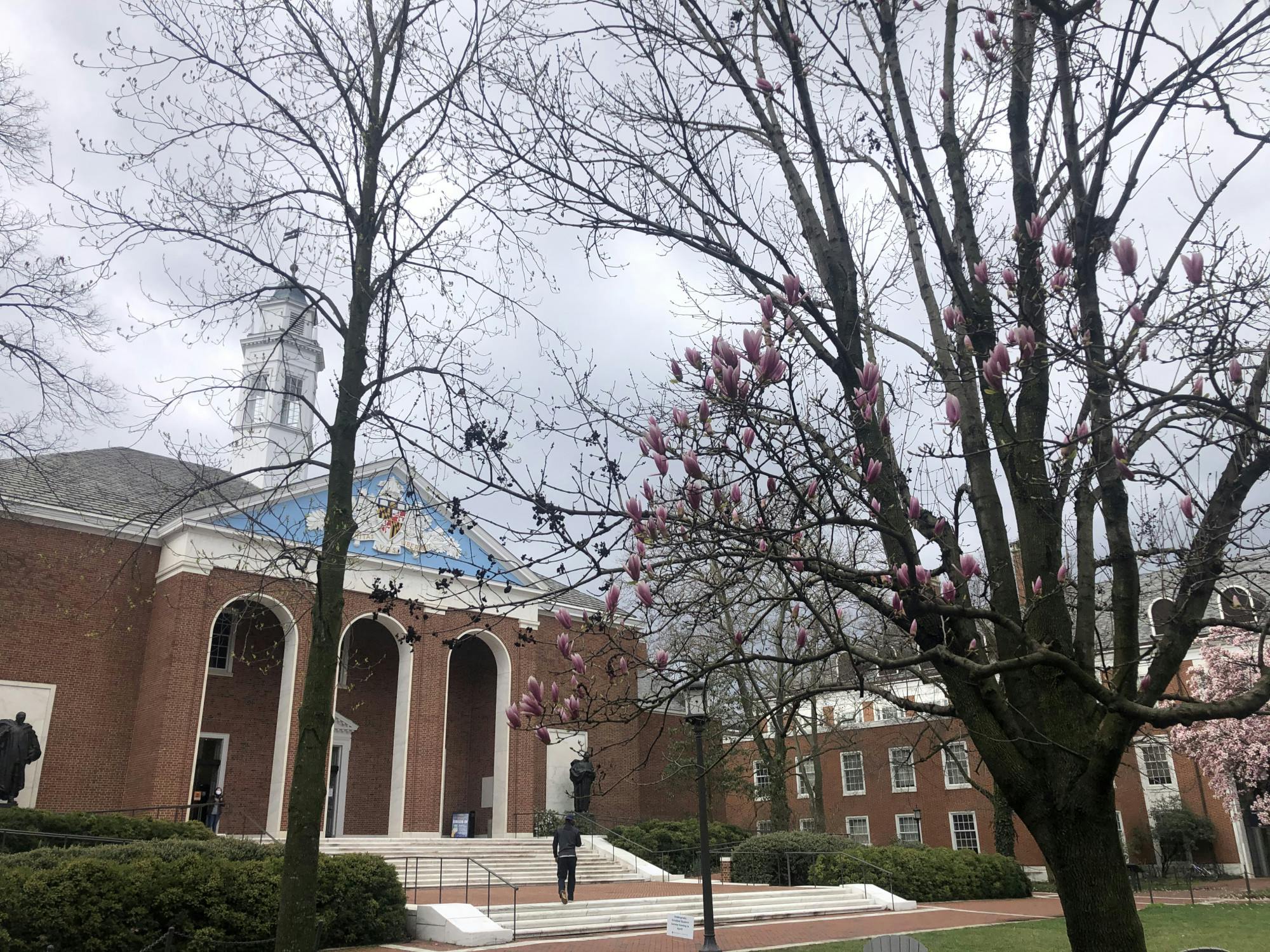 COURTESY OF CHRIS H. PARK
The partially in-person ceremony will be held on the Homewood Field.