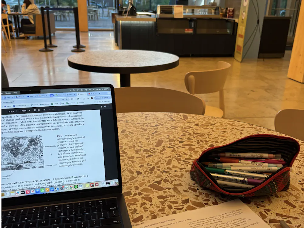 COURTESY OF EESHA BELLAD
Bellad shares her favorite study spots on campus that are enjoyable for studying and socializing.