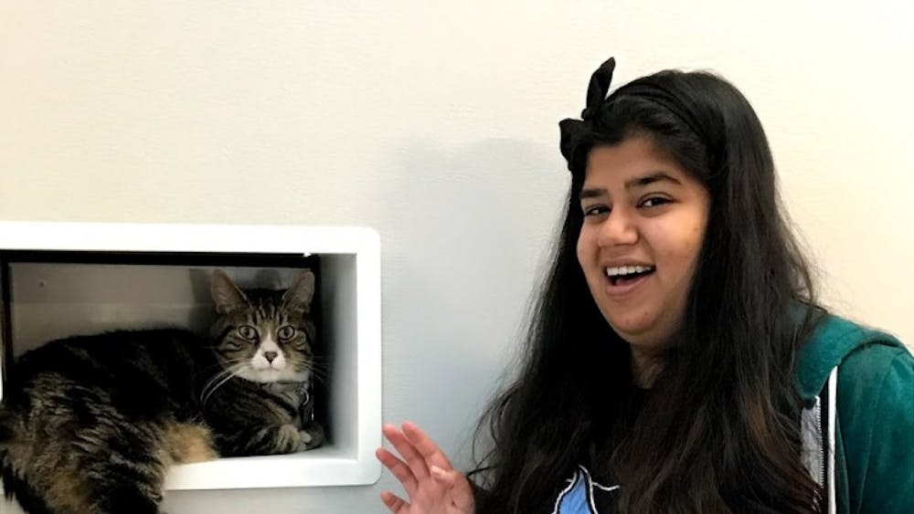 COURTESY OF DIVA PARAKH
You may need to book yourself a reservation to get time with these in-demand kitties.