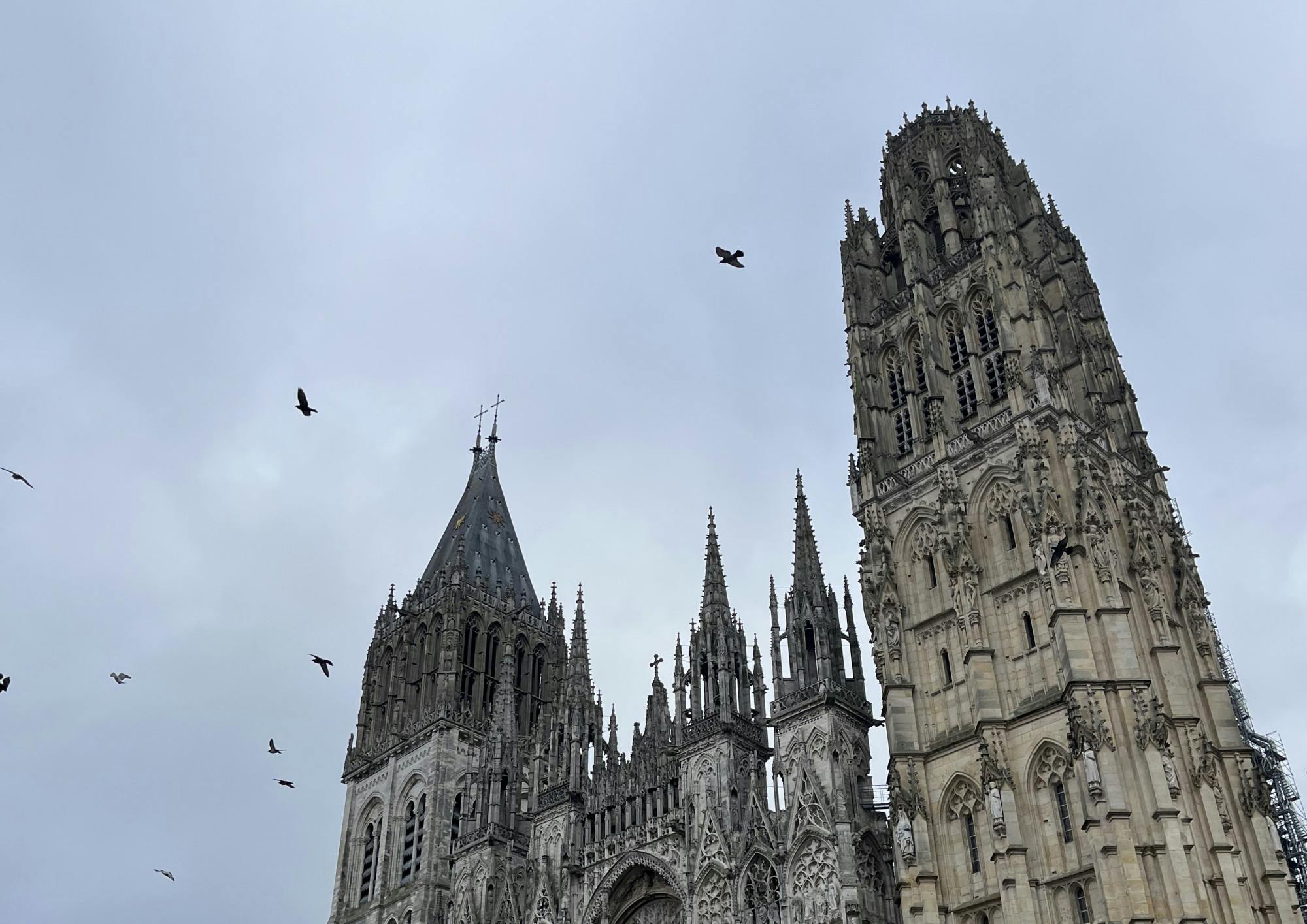 COURTESY OF MADELYN KYE
Recounting her first few weeks in France, Kye reveals the efforts she has made to make the best of her time.