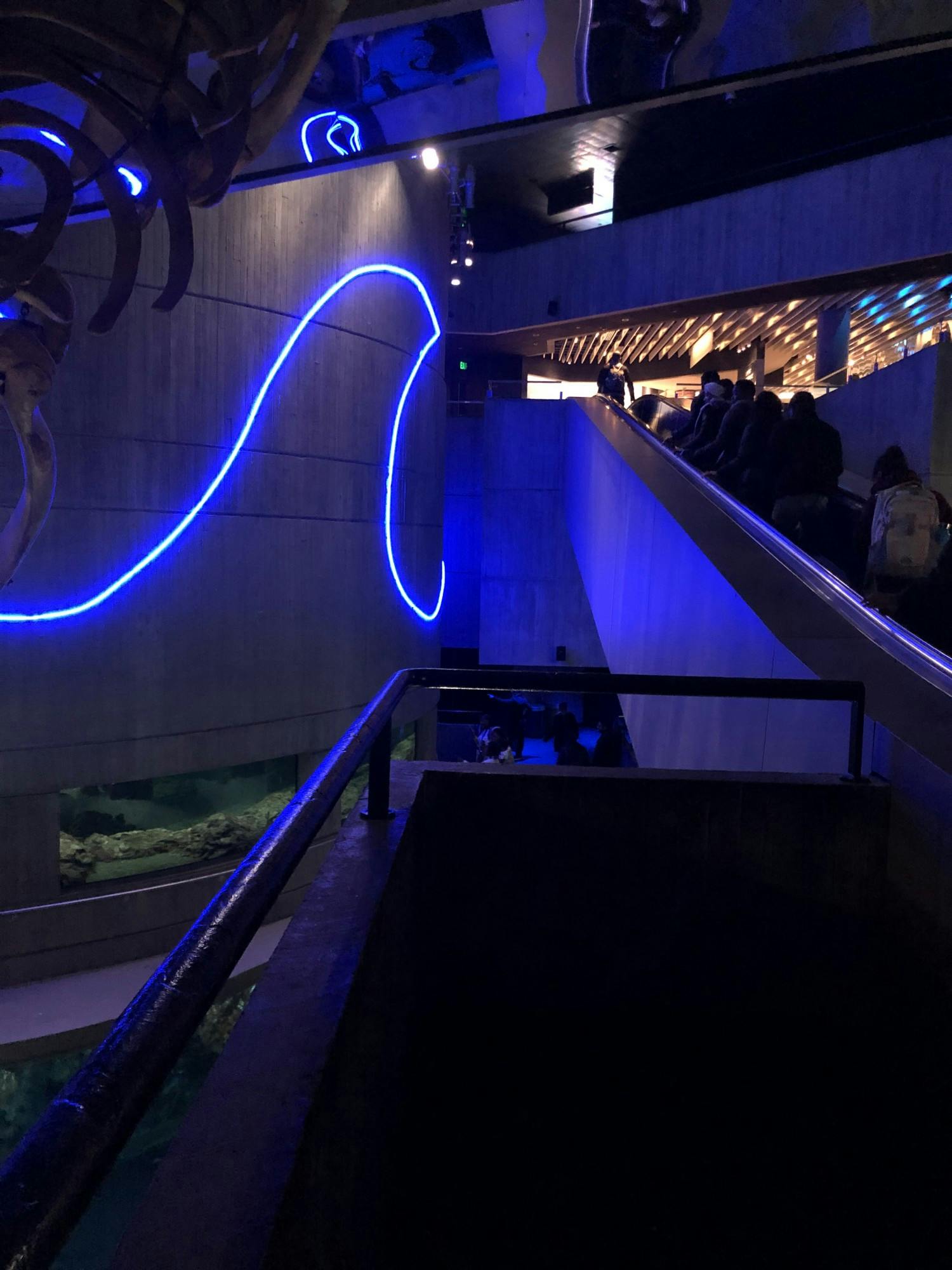 NEHA SANGANA/PHOTOGRAPHY EDITOR