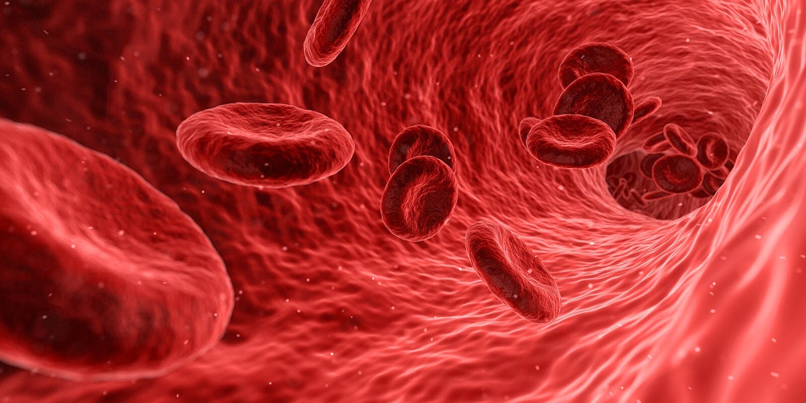 AREK SOCHA / PUBLIC DOMAIN
Red blood cells contain hemoglobin – a vital protein for sustaining life.&nbsp;