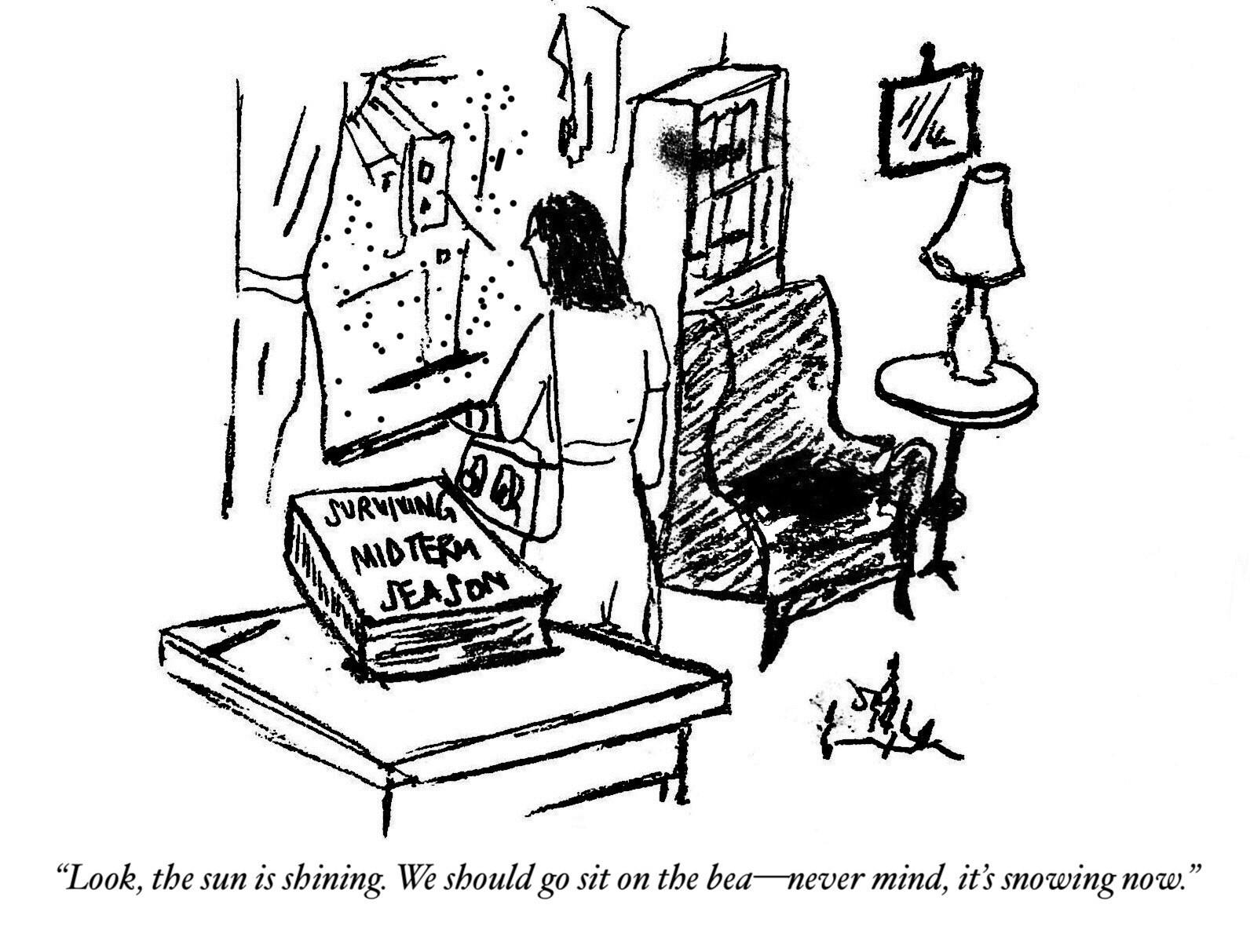 SHOURYA ARASHANAPALLI / DESIGN STAFF