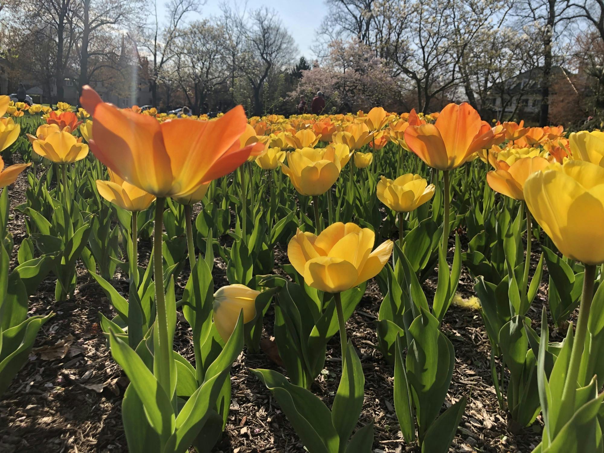 COURTESY OF RUDY MALCOM
Malcom is social distancing with his boyfriend in Baltimore.