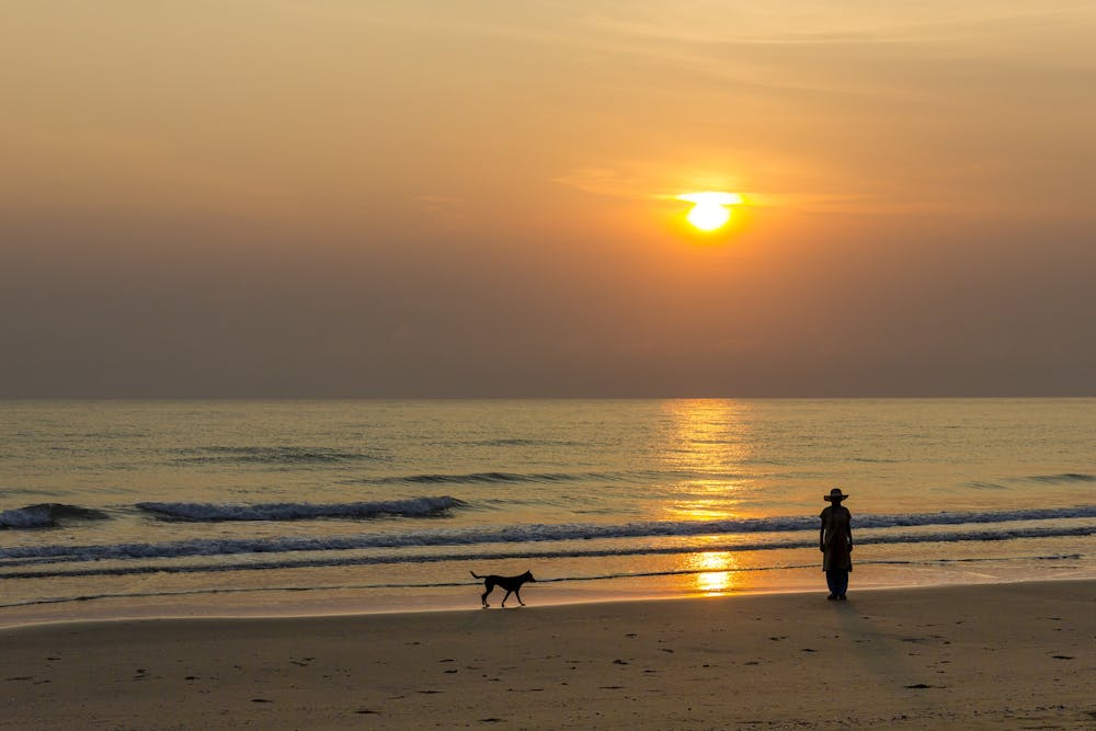 alone-yet-not-lonely