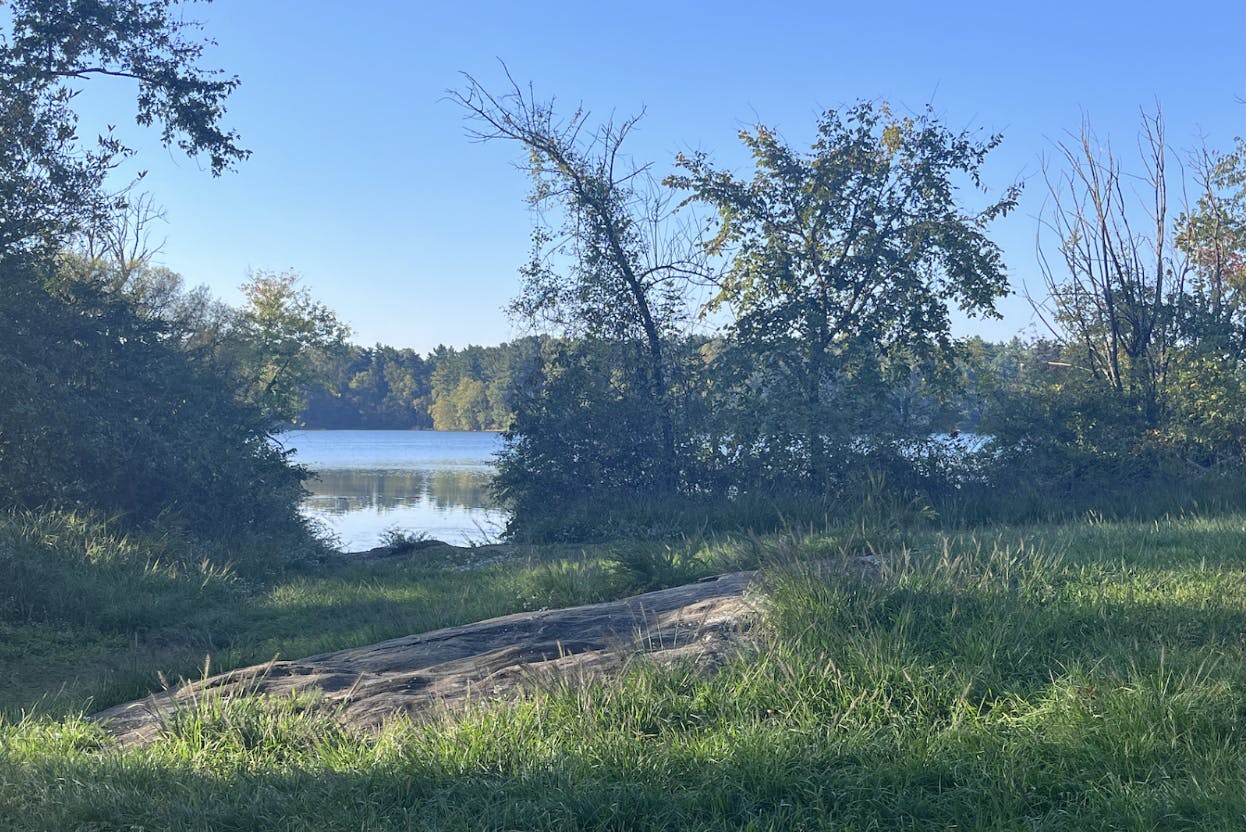 COURTESY OF CRYSTAL WANG
Wang reflects on summer afternoons spent fishing with her father.