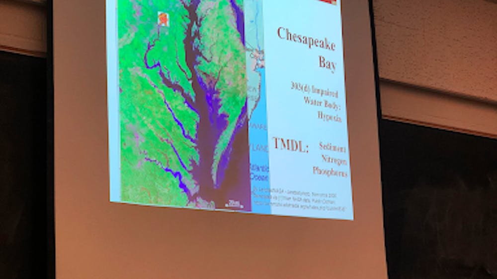 COURTESY OF YANNI GU
Excess nitrogen and phosphorous are in the water of the Chesapeake Bay.