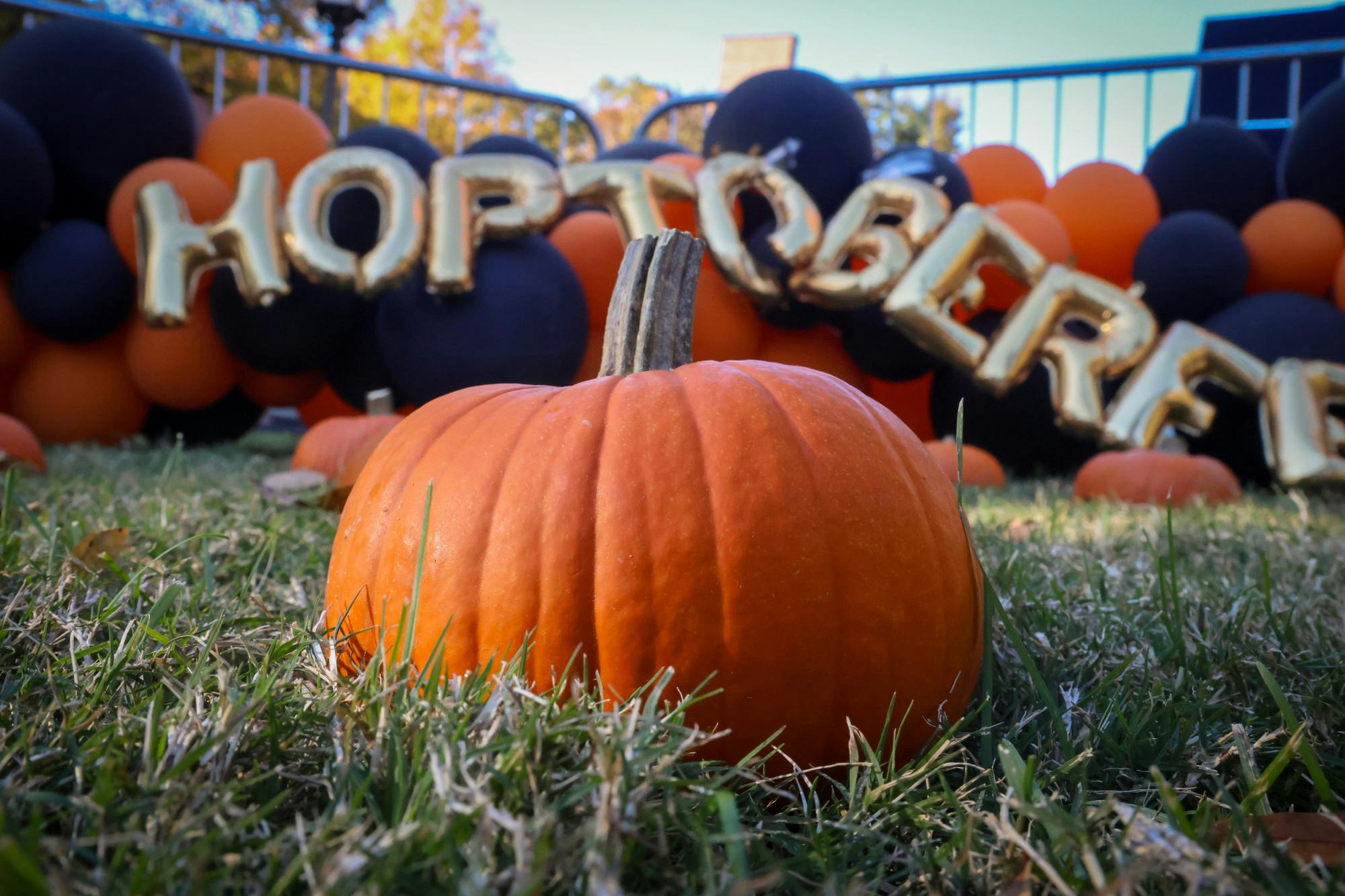 Students celebrated Hoptoberfest with a wide range of events, including a pumpkin patch, haunted house, petting zoo, inflatables, a concert and more.&nbsp;