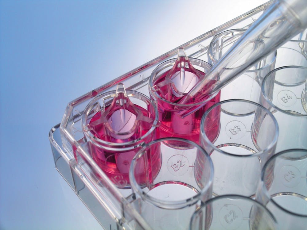 COURTESY OF WWW.CHEM.TAMU.EDU
Eshleman used a personalized cell line to design specific chemotherapies.