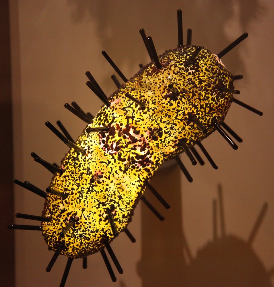 TIM EVANSON / CC-BY-SA-2.0
There has been a recent upsurge in cases of bubonic plague in the U.S.