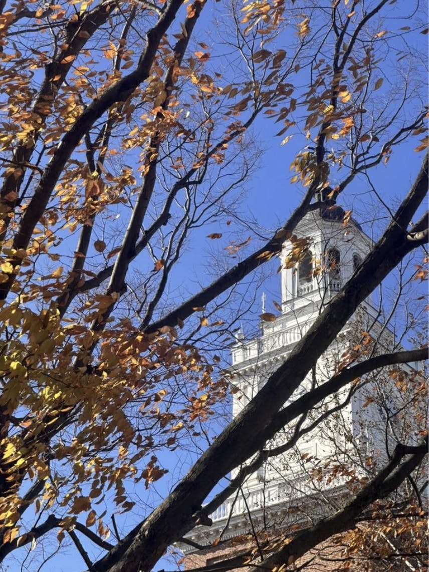 COURTESY OF KATIE TRUONG
Truong reflects on finding meaning and connection while feeling loneliness.