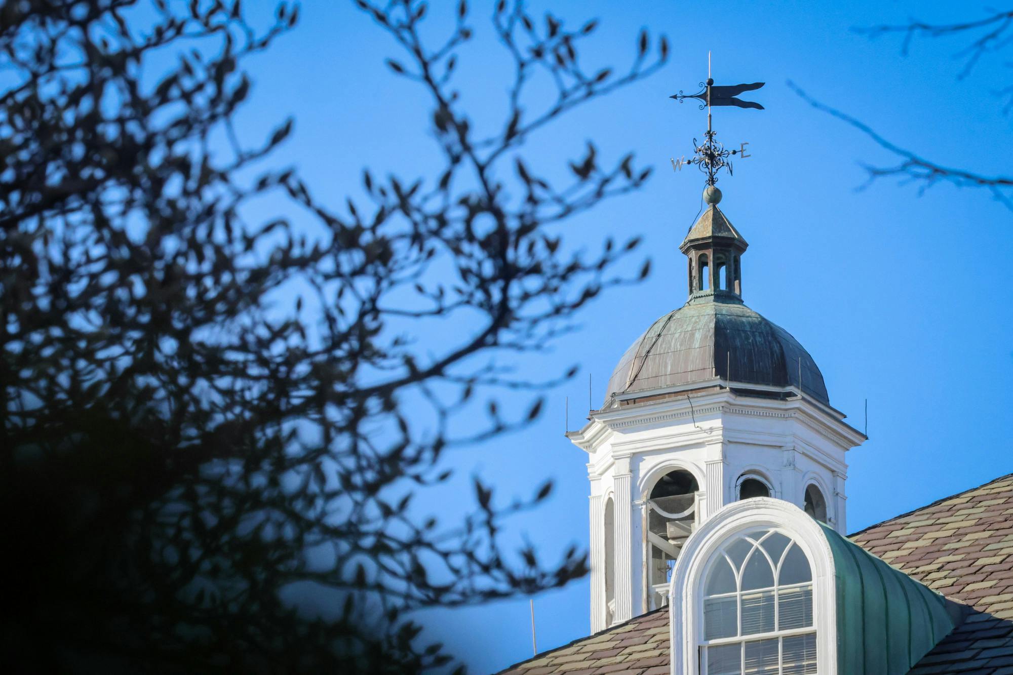 STEVEN SIMPSON / PHOTO EDITOR
1,732 students joined the Class of 2029 in the final round of admissions, which had a 4% acceptance rate.&nbsp;