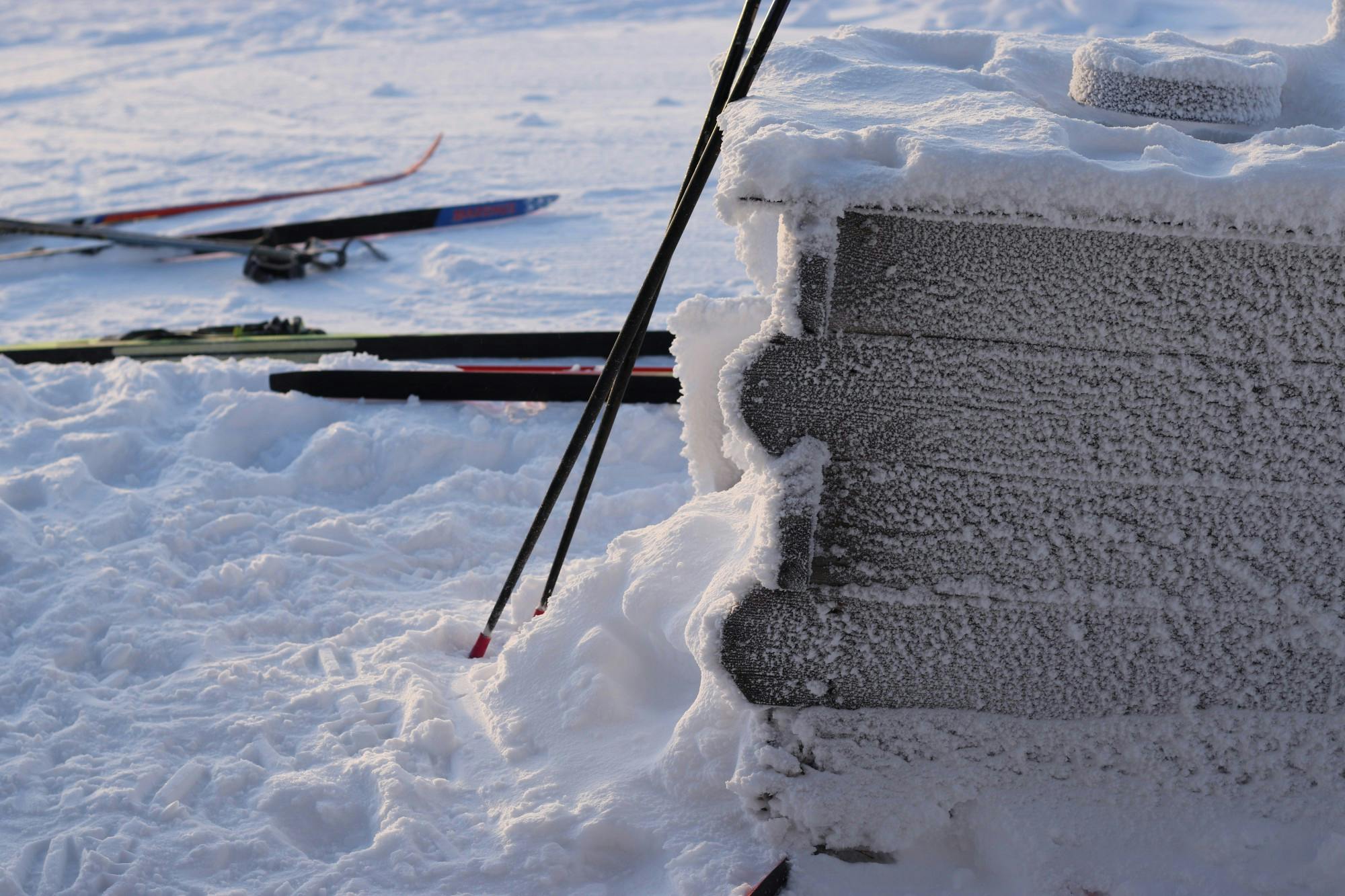 COURTESY OF CAS GUSTAFSSON