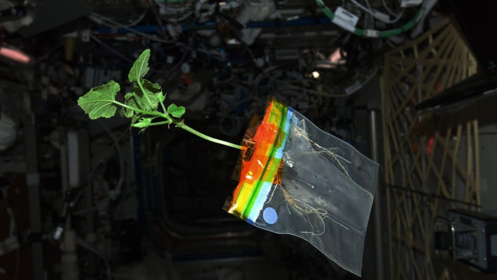 PUBLIC DOMAIN
Growing crops will be necessary for survival in space, a possibility due to the new NASA bill.
