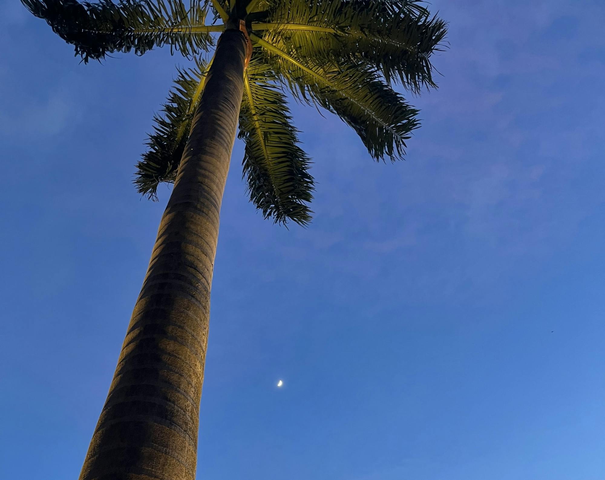 COURTESY OF KAITLIN TAN
Tan reflects on cultural homes and on growing up between places.