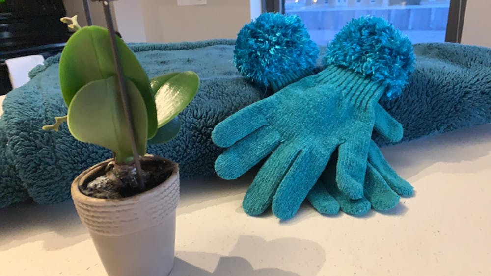 COURTESY OF DIVA PAREKH AND SAM FARRAR
During a tough time, Parekh finds importance in some of the small things.