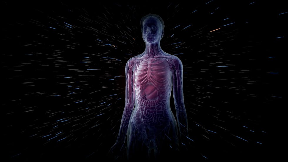 &nbsp;
PUBLIC DOMAIN
NYU researchers found a new organ called interstitium that covers almost all other organs in the human body.