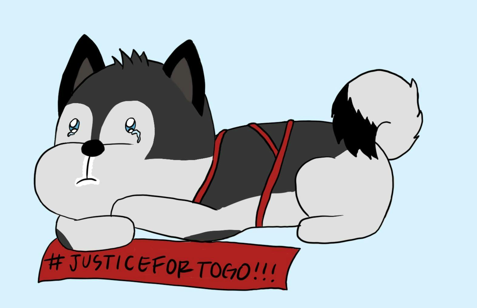 ROSIE JANG/CARTOONS EDITOR
Hilden and Malcom argue that Balto has received undue attention for his role in the 1925 serum run to Nome. 