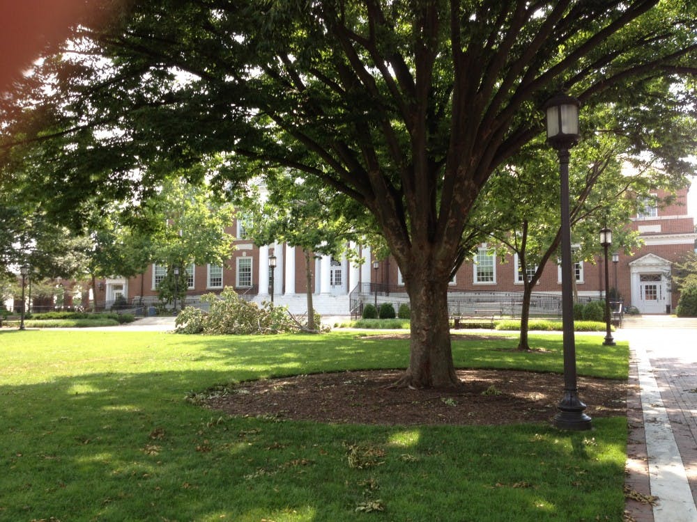 Trees across campus and in the BMA's sculpture have lost limbs in the wind from Friday evening's thunderstorm.