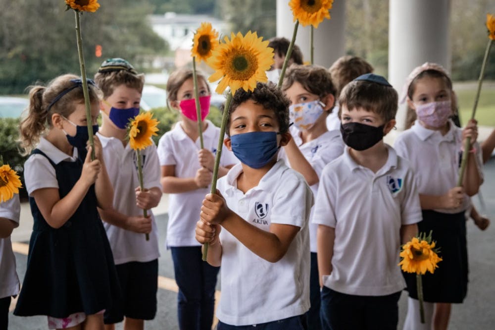 Akiva%2520Sunflowers