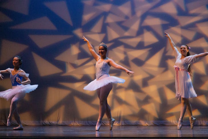 Arts - Nutcracker 12.4.19 MG 0281.jpg