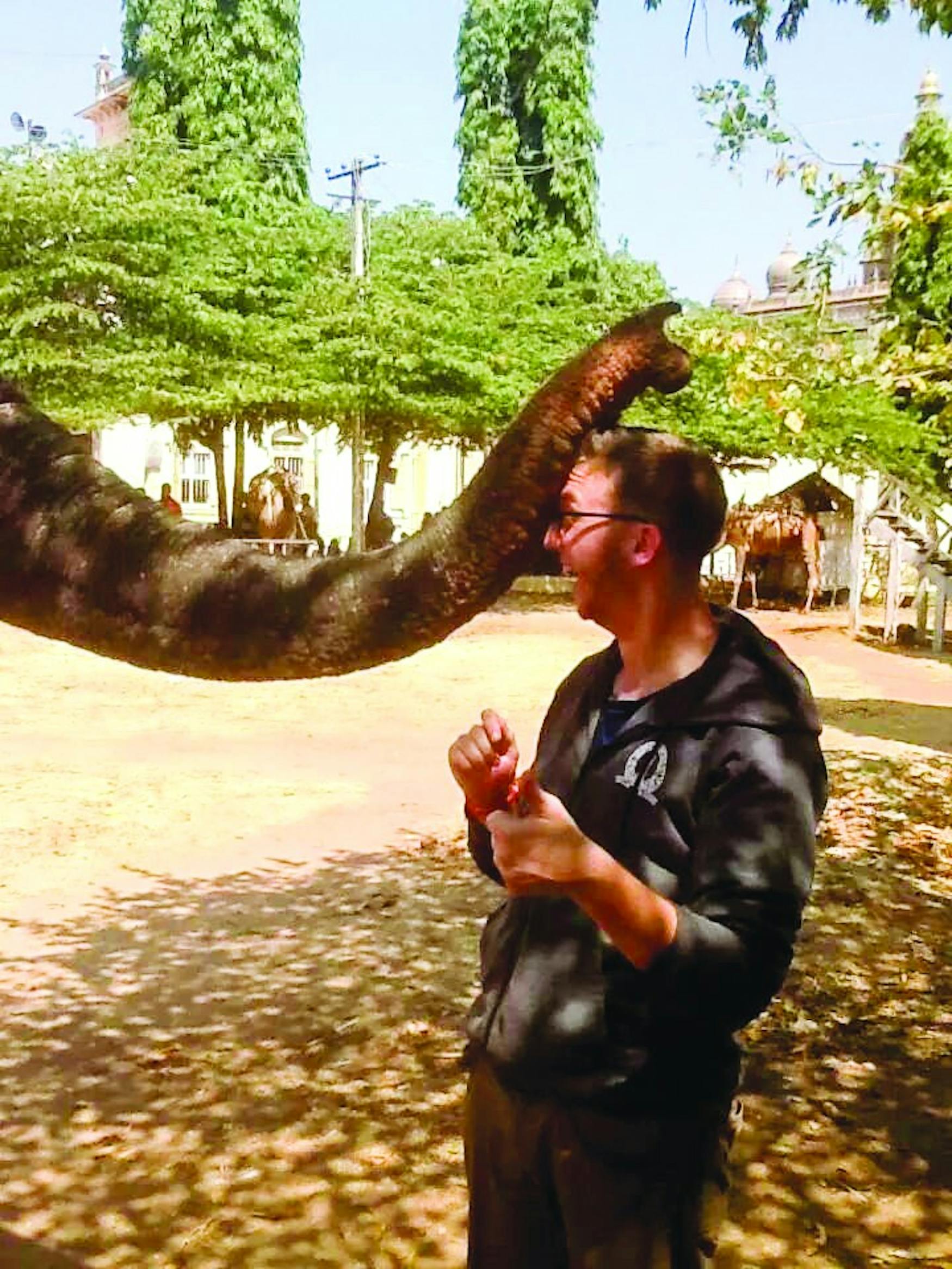 Jake Cohen ’15, a student of physics and mathematics, was blessed by an elephant during his study abroad term in Bangalore, India.