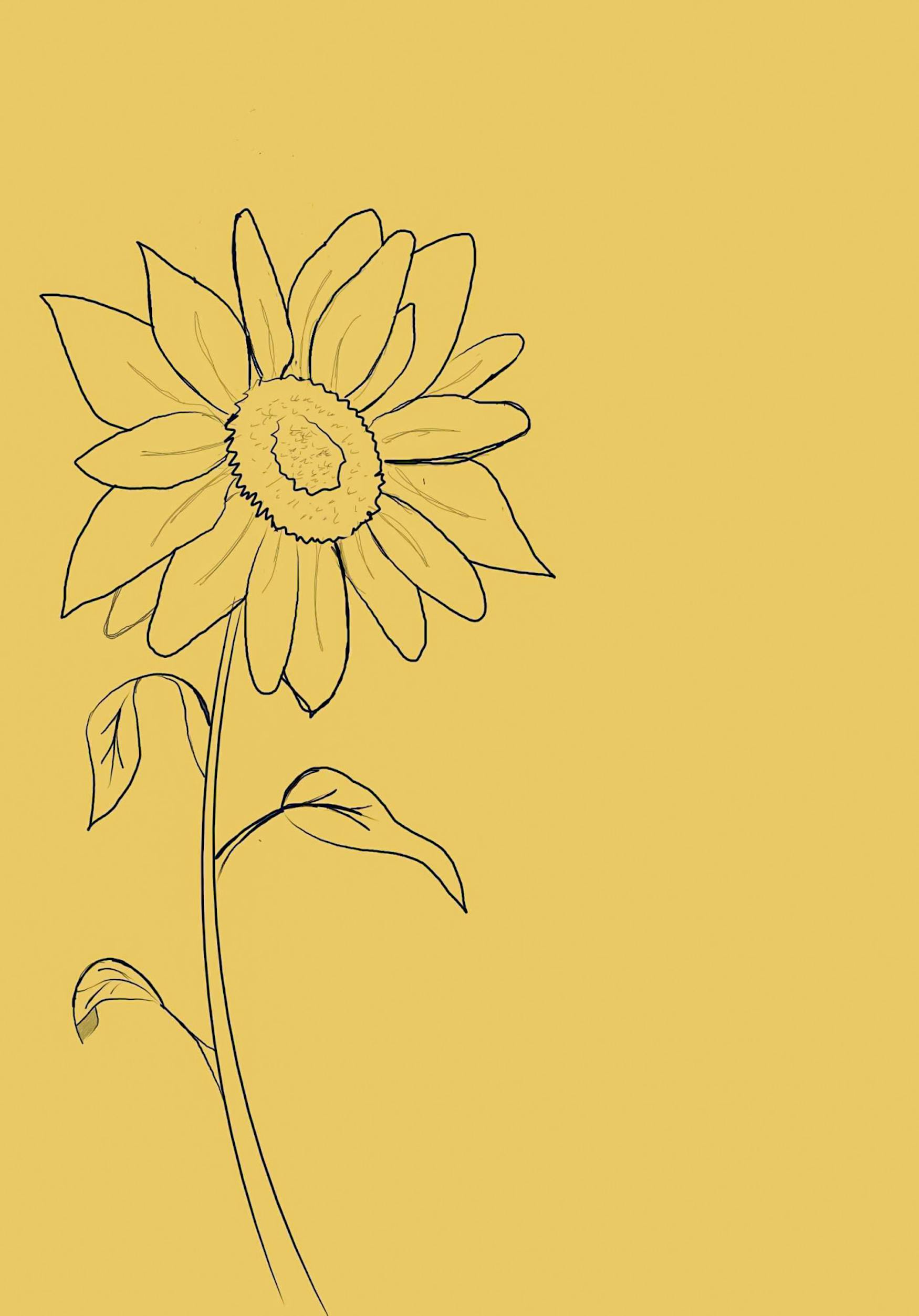 Sunflower Background.jpg
