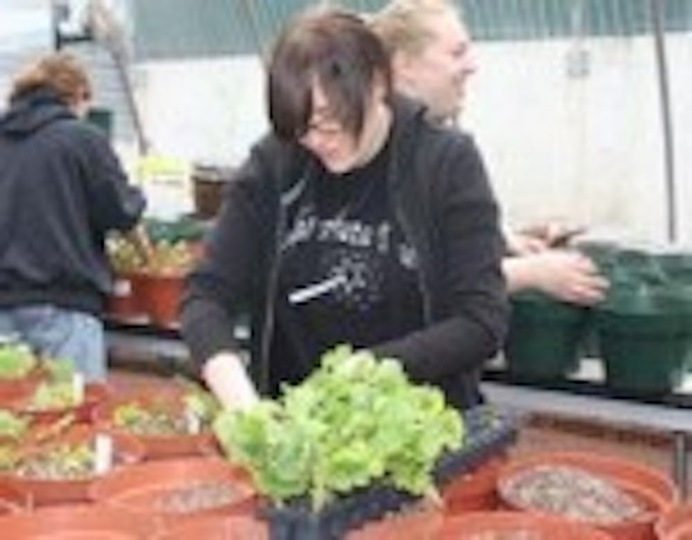 Keeping Kean Beautiful