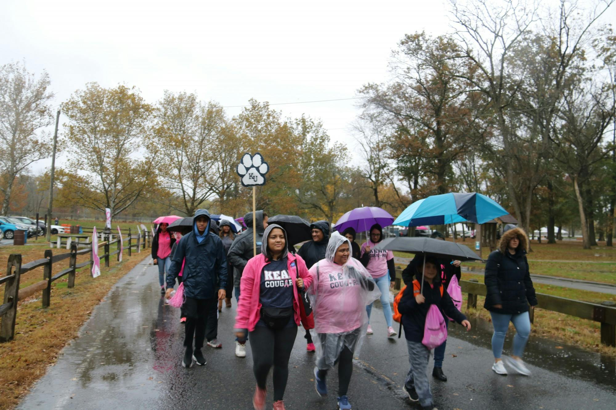 Making Strides Against Breast Cancer Walk