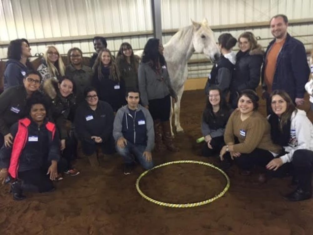 Healing Patients Through Horses