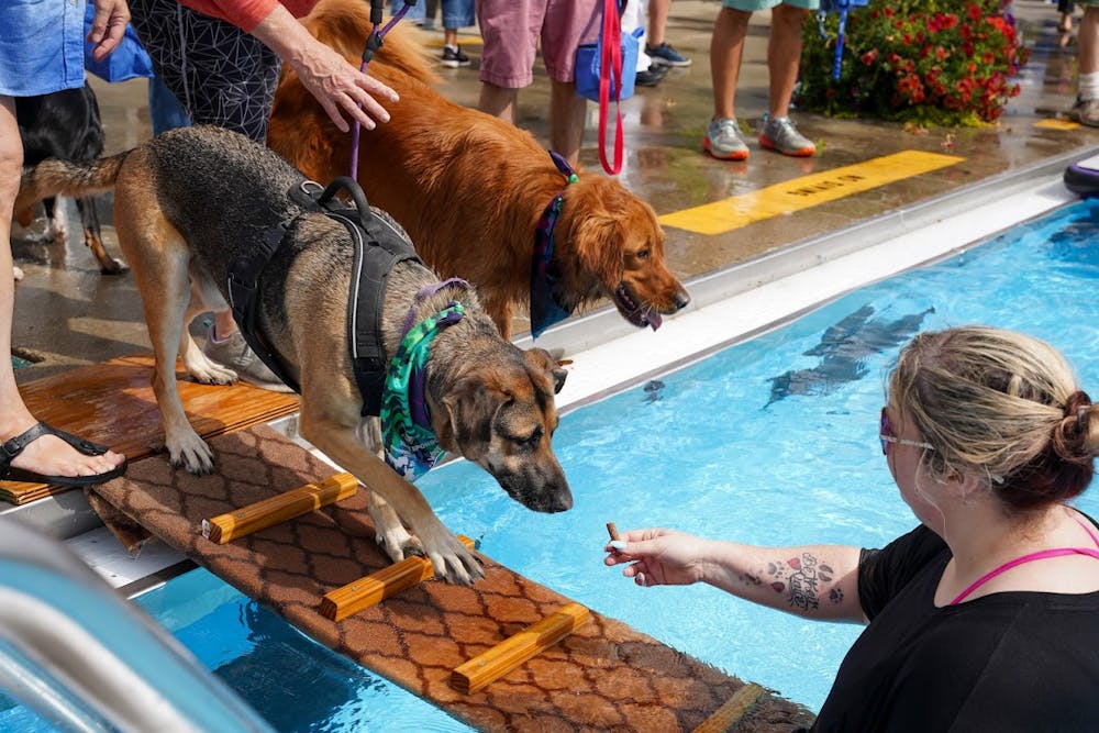 Pets and their owners had a chance to swim in the Middlebury Municipal Pool.