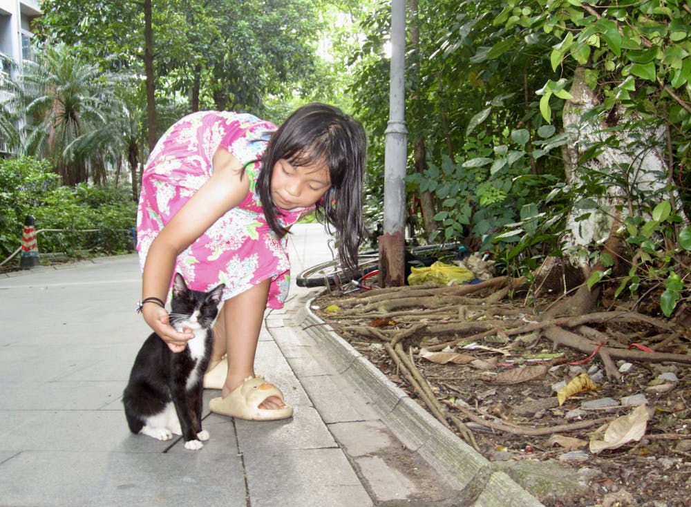 My cousin playing with her favorite “milk cow” black-and-white cat in the courtyard.