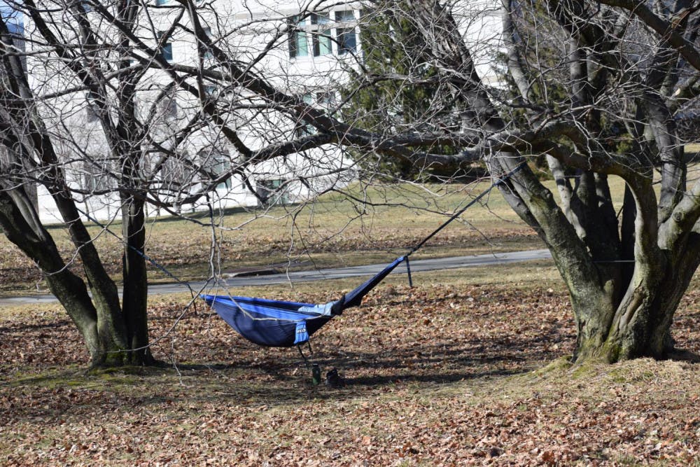 49685556257_1334acf566_o