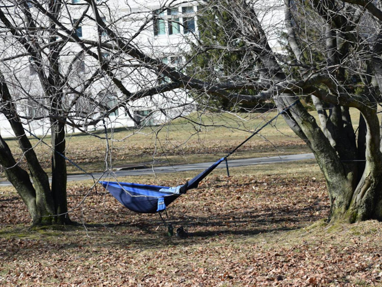 49685556257_1334acf566_o