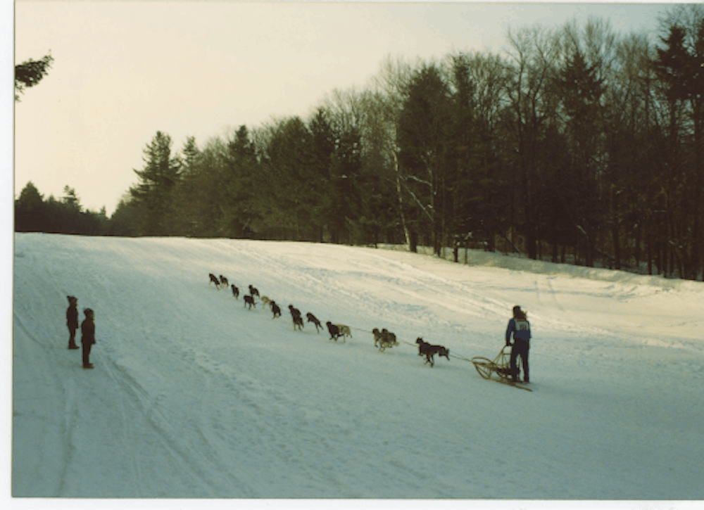 Doug Butler racing his dogs in Alaska.