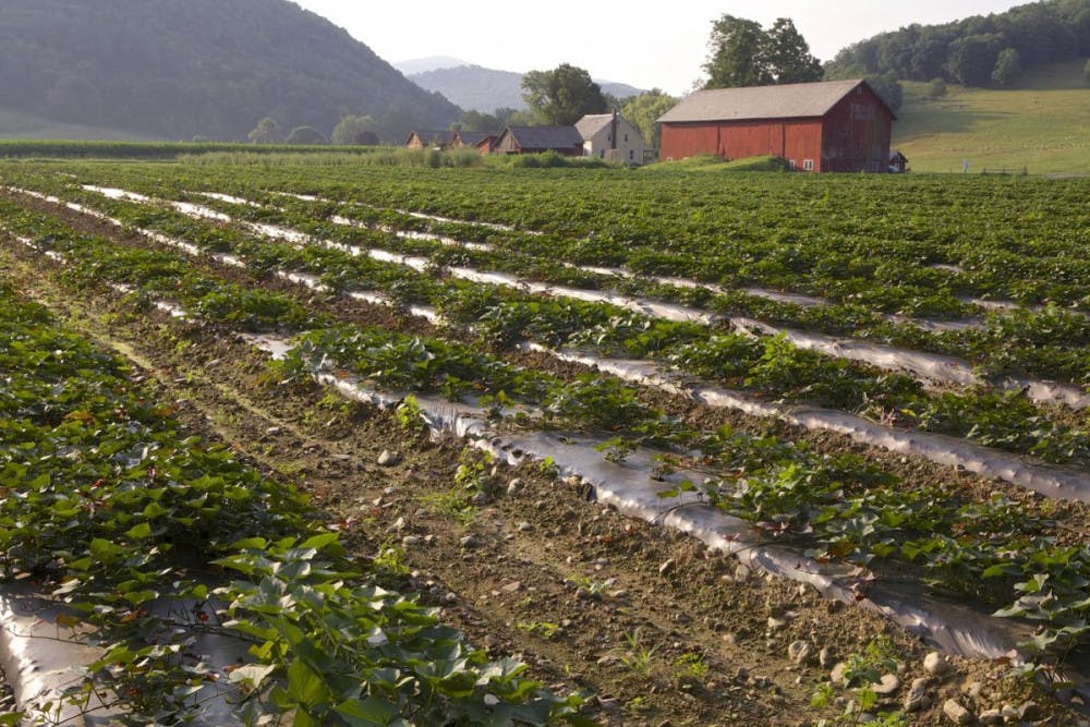 vermont_land_trust_resized-e1473721874902