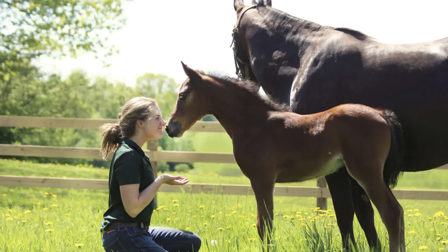 Screenshot 2026-04-13 at 10.42.20 PM.png