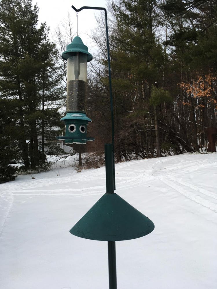 Bird-feeder-2-