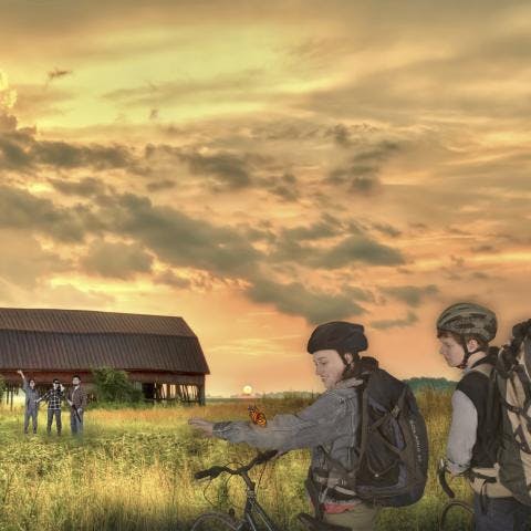 Somewhere SQUARE image v2.jpeg