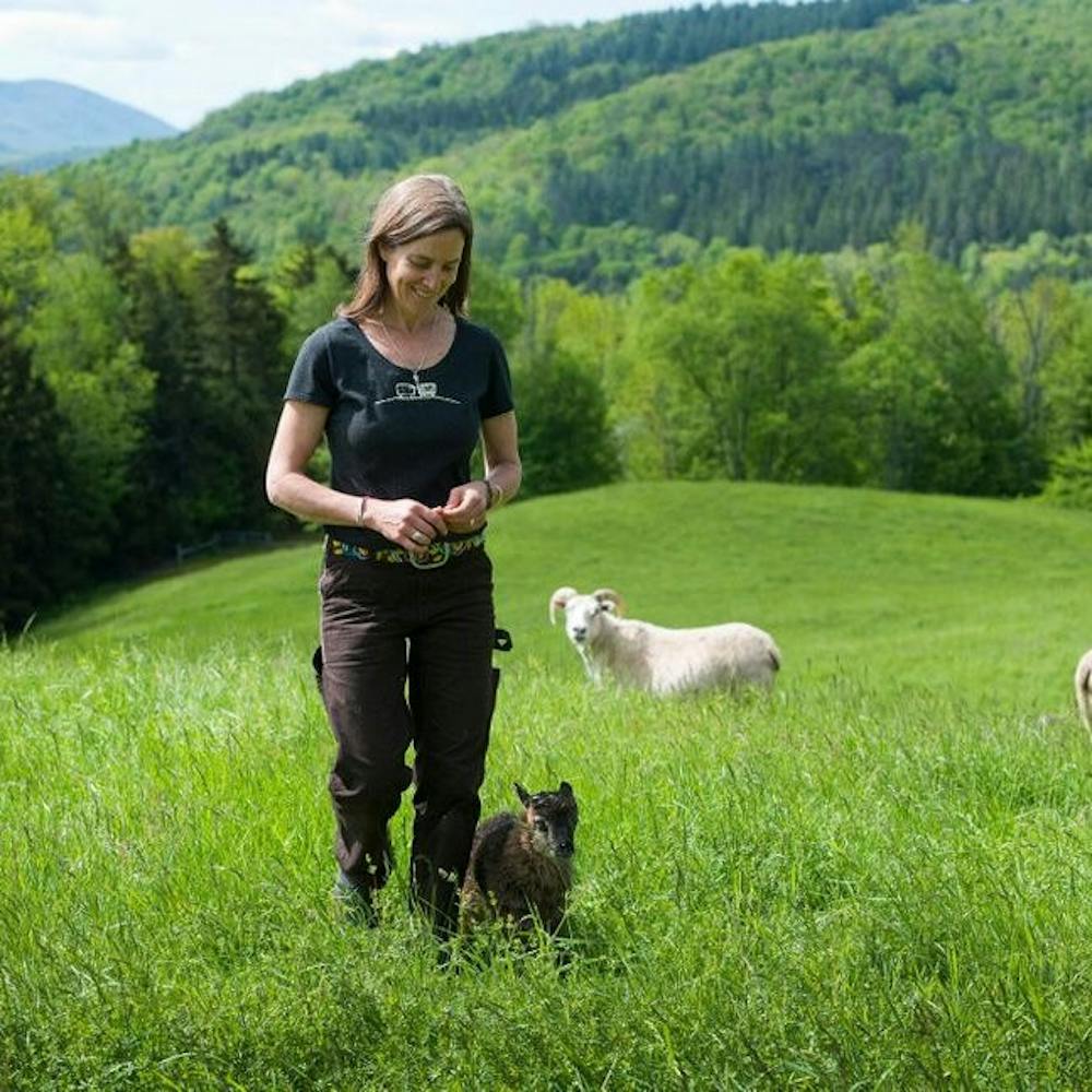 Helen Whybrow, a writer and editor teaching the J-Term class "When Truth Meets Craft," owns Knoll Farm in Vermont with her husband and draws inspiration from farming and sheparding for her writing.