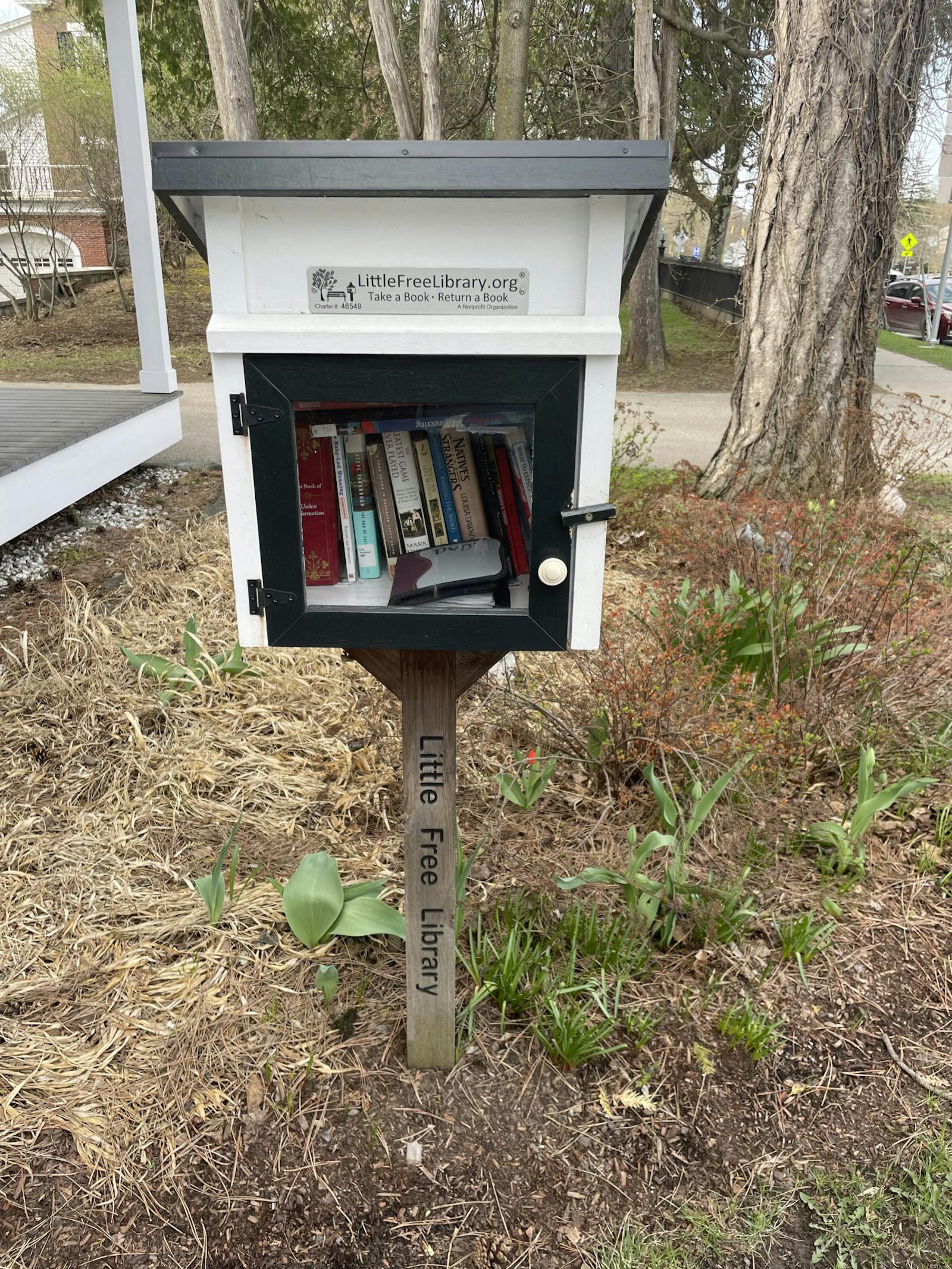Little Free Libraries bring reading, community bonding to Middlebury ...