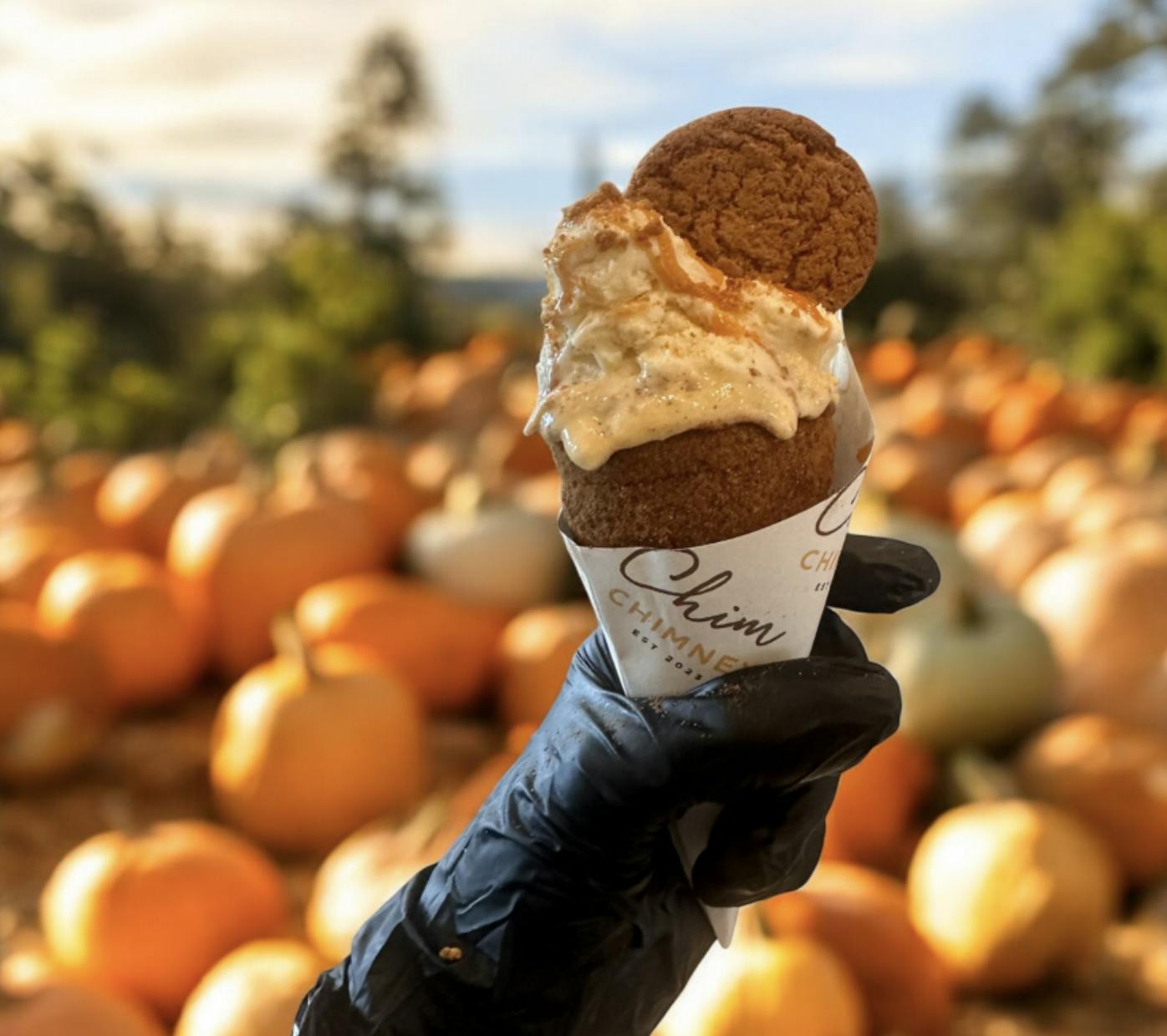 Screenshot 2024-09-19 at 3.56.05 AM.png