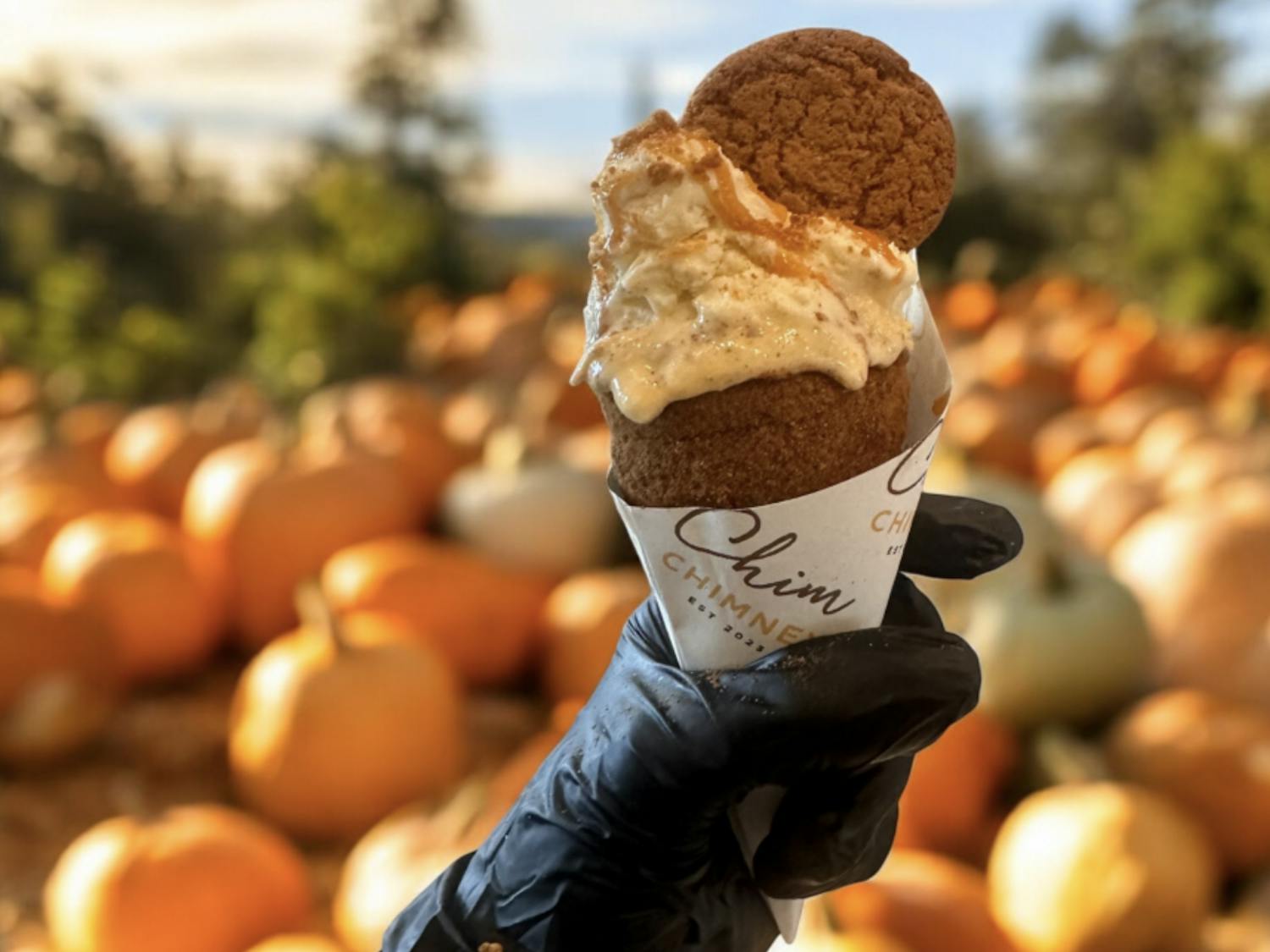 Screenshot 2024-09-19 at 3.56.05 AM.png