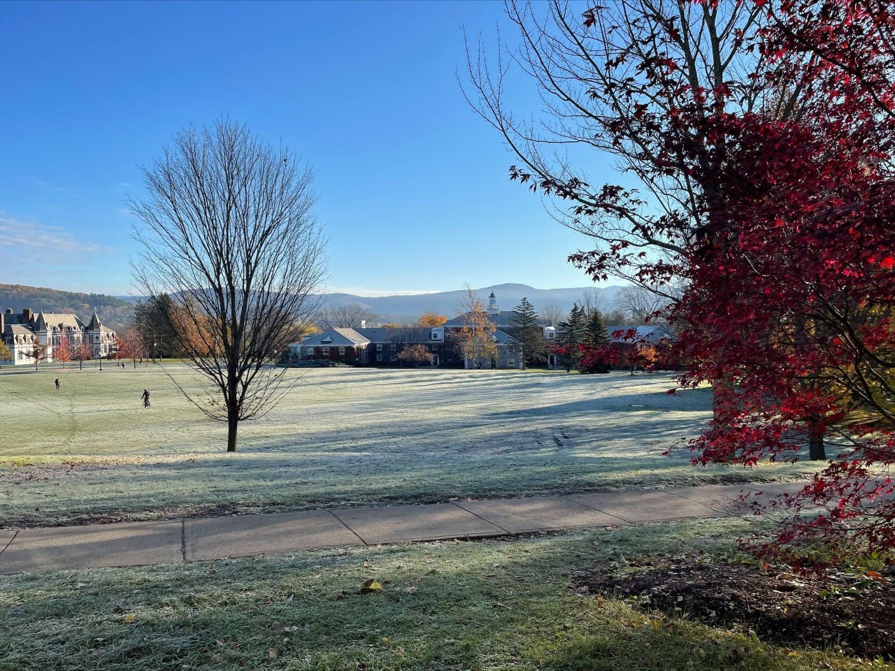 First Frost_Lynn Yan '24.5.jpg