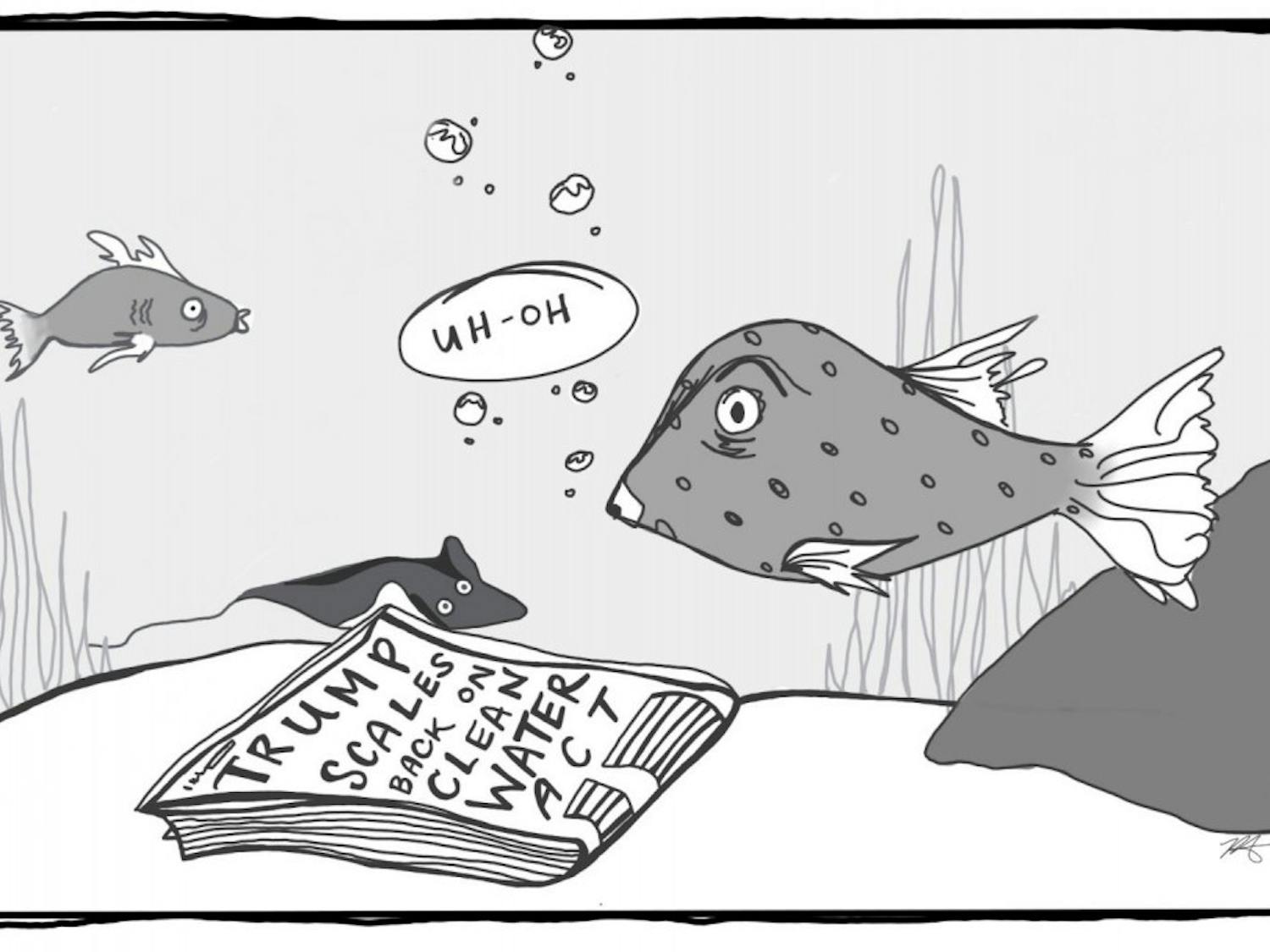 fish-carton