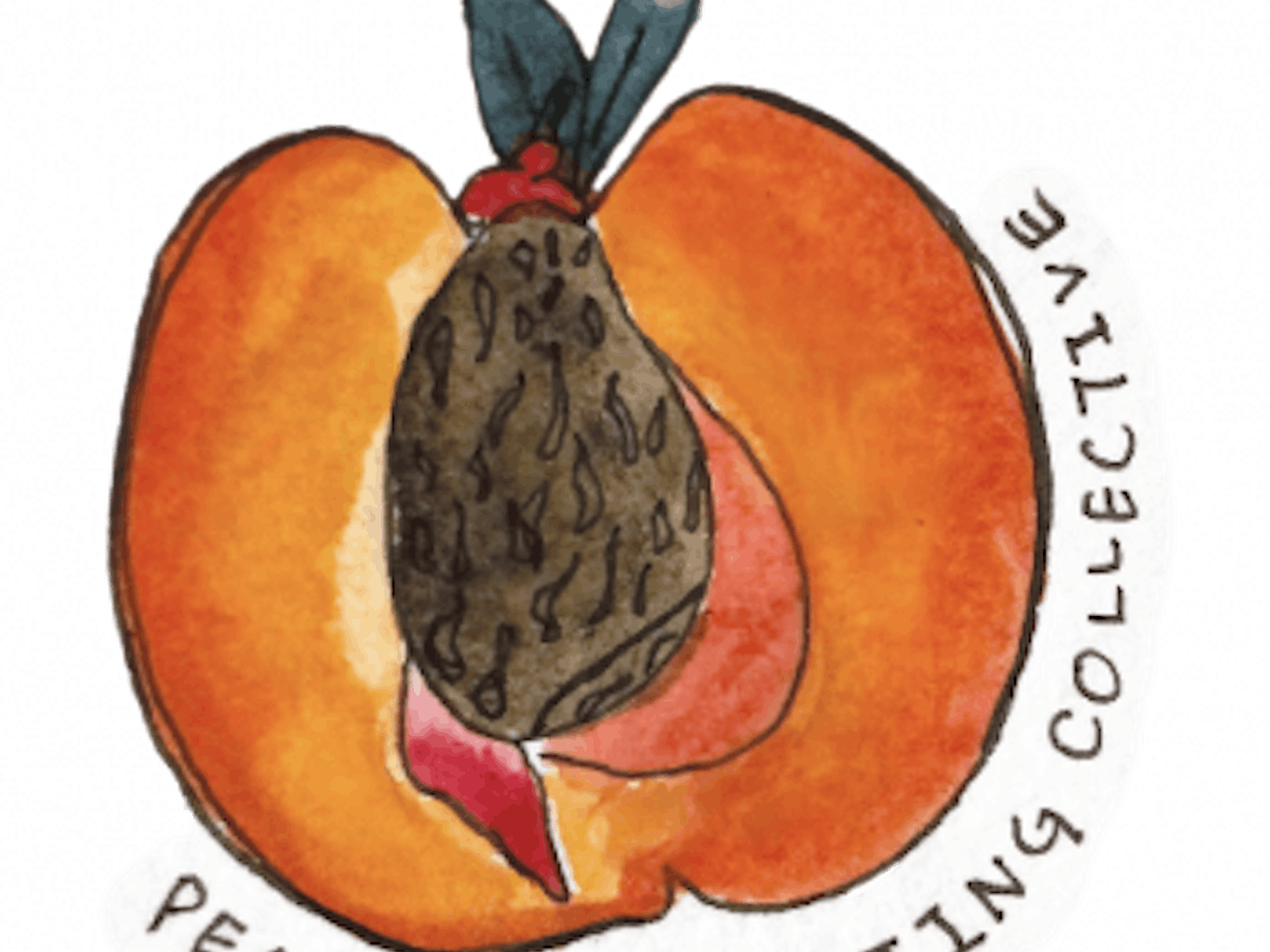 Peach-Pit-Writing-Collective