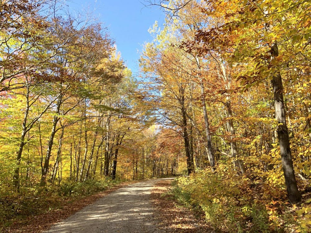 <span class="photocreditinline"><a href="https://middleburycampus.com/39367/uncategorized/benjy-renton/">BENJY RENTON</a></span><br />Fall foliage is in full swing in mid-October. Many locals stress that Middlebury students and staff should take advantage of the fall colors by hiking, visiting other towns in the county or brushing up on different species of trees. Walking around the Breadloaf Wilderness (pictured above) is a great example of how to enjoy fall foliage before the leaves fall later this month.